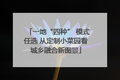 一地“四种” 模式任选 从定制小菜园看城乡融合新图景